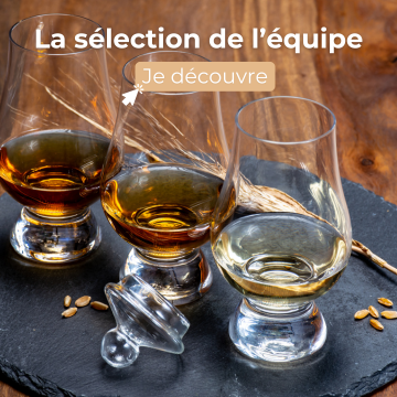 Sélection de l'équipe